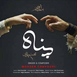 محسن چاوشی پناه