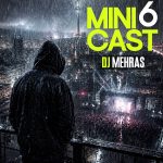 DJ Mehras Mini cast 6