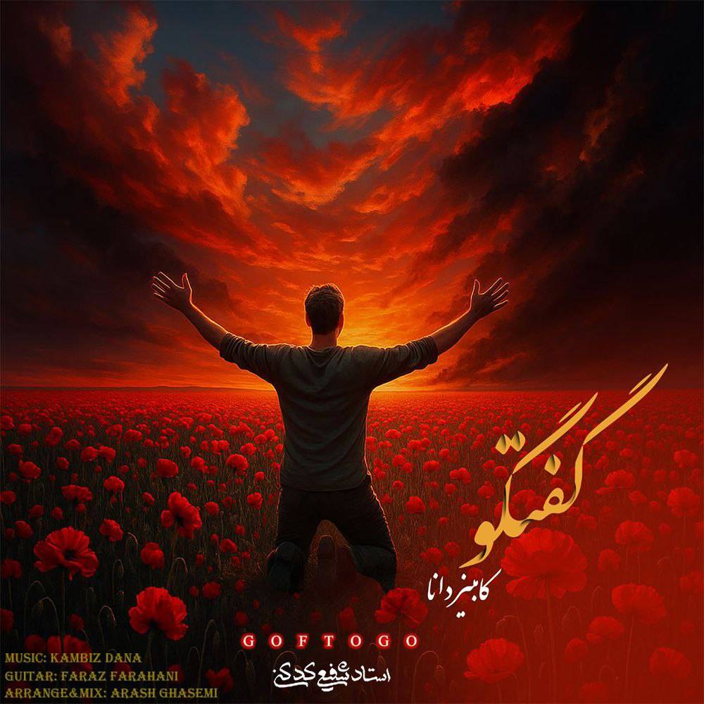 کامبیز دانا گفتگو