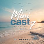 DJ Mehras Mini cast 7