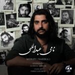 نامی عبدالهی ناصریا